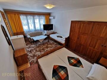 Фото номера Трехместный номер с балконом Гостевой дом Vila CasaCarp г. Эфорие-Суд 4
