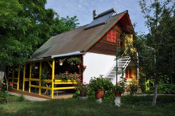 Фото номера Вилла Виллы Pensiunea Rustic г. Эфорие-Суд 37